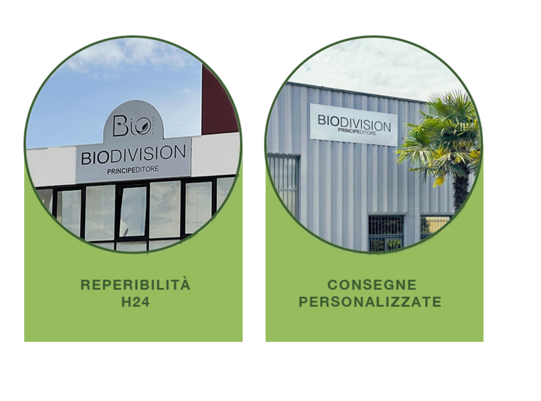 Sede Biodivision